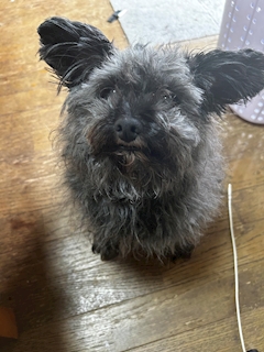 プロフィール写真2・しお|GIRLS BAR ALLURE・アリュール - 橋本のガールズバー