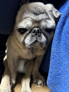 プロフィール写真9・しお|GIRLS BAR ALLURE・アリュール - 橋本のガールズバー