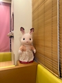 chiko