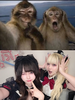 ゆめ「流行り､､､??」