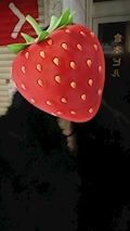 まこと