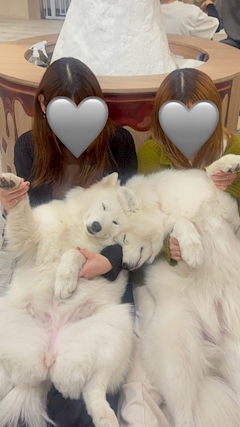 すず「🐩𓈒𓂂𓇬」
