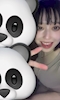 プロフィール写真4・🐼💙｜ChuChu・チュチュ - いわき市・平のスナック
