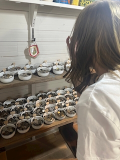 プロフィール写真1・みゅう｜CanCan！CHANCE・キャンキャンチャンス - 北千住のパブ/スナック