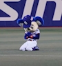 chiko