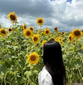 もえ