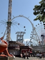 新着ブログ 🎪🎡🎢🎠🎪
