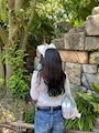 ひな