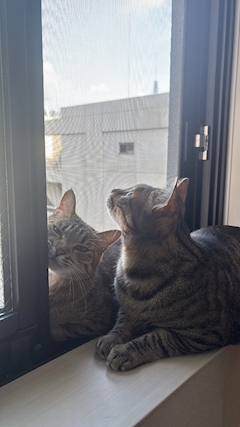 渚 まな