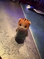 新着ブログ 🐱