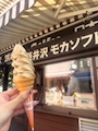 新着ブログ 🍦
