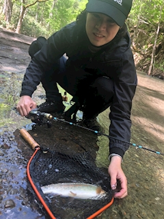 プロフィール写真1・つばさ｜ニュースナックしゃんぐりら - すすきのスナック