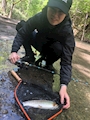 つばさ