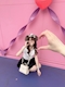 プロフィール写真3・こと|CAFE&BAR mgrry 船橋店・ミリー - 京成船橋駅西口のガールズバー