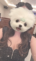 ゆか