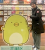 新着ブログ すみっコぐらしの人