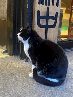 プロフィール写真1・ゆき｜BAR REX・レックス - 板橋のガールズバー