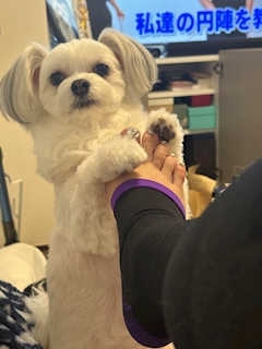 プロフィール写真5・なかめ店長🍸池袋東口Matey｜Lounge snack Matey・メイティー - 池袋東口のパブ/スナック