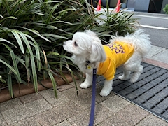 プロフィール写真4・なかめ店長🍸池袋東口Matey｜Lounge snack Matey・メイティー - 池袋東口のパブ/スナック