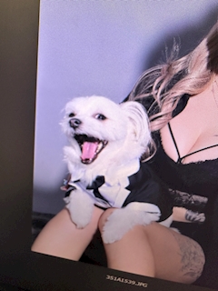 プロフィール写真3・なかめ店長🍸池袋東口Matey｜Lounge snack Matey・メイティー - 池袋東口のパブ/スナック