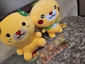 めぐみ
