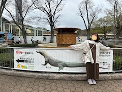 プロフィール写真12・あおい㌠|NEO・ネオ - 岐阜 多治見のキャバクラ