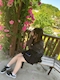 プロフィール写真2・あおい㌠｜NEO・ネオ - 岐阜 多治見のキャバクラ