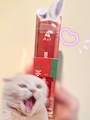 chiko