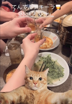 はるな㌠