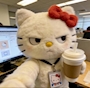 新着ブログ やは