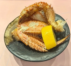 🩷はるな🩷