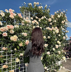 プロフィール写真1・ここ｜祇園 キャバクラ・シロン