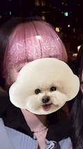 【BAR PINK】なの