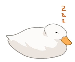 らいむ