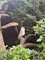 みう🎀 豊橋 キャバクラ・ツバキ