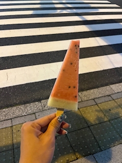 うみ「スイカだーーいすき🍉」