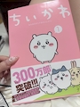chiko