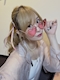 プロフィール写真3・🐋🩵あさみ🩵🐋｜mrs.J 四日市・ミセスジェイ ヨッカイチ - 三重 四日市の熟女パブ/熟女キャバクラ