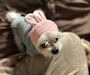 chiko