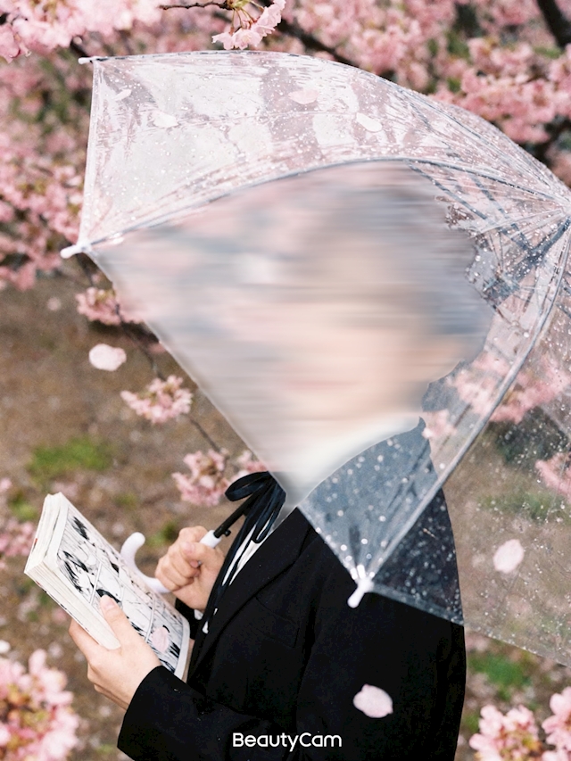 みゆ