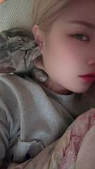 プロフィール動画