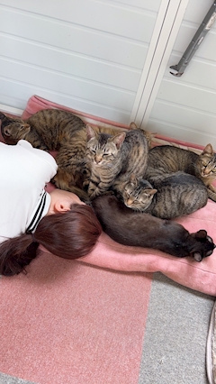 プロフィール写真13・河野かれん｜Sugar・シュガー - 岡山市（中央町）のスナック