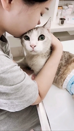 プロフィール写真2・河野かれん｜Sugar・シュガー - 岡山市（中央町）のスナック