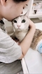 プロフィール写真2・河野かれん｜Sugar・シュガー - 岡山市（中央町）のスナック