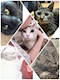 プロフィール写真4・河野かれん｜Sugar・シュガー - 岡山市（中央町）のスナック