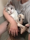 プロフィール写真3・河野かれん｜Sugar・シュガー - 岡山市（中央町）のスナック