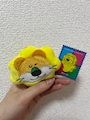 chiko