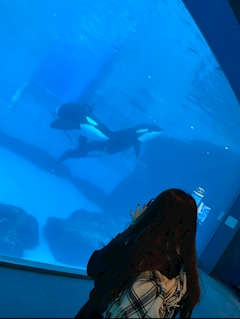 プロフィール写真1・るか｜REGINA・レジーナ - 富士のキャバクラ