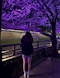 プロフィール写真2・なみ｜First・ファースト - 熊本市・花畑町のスナック