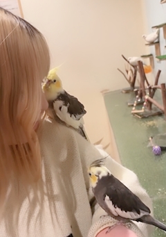 プロフィール写真4・しゅな｜KURONEKO・クロネコ - 中洲のガールズバー